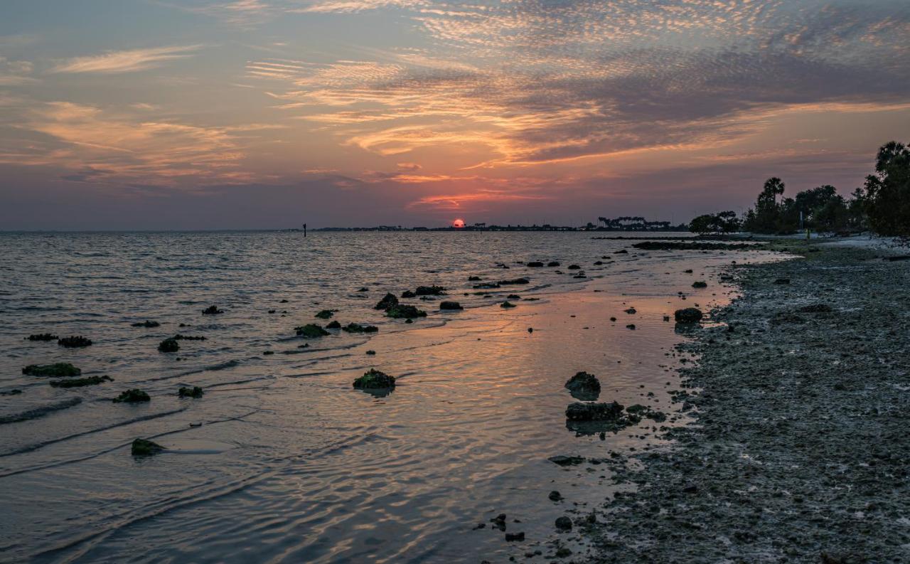 Sunset Paradise - Find Yourself In Tampa Zewnętrze zdjęcie