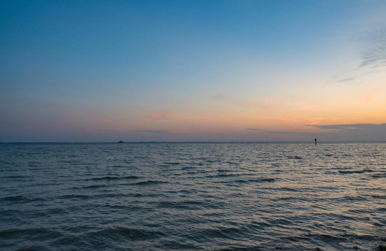 Sunset Paradise - Find Yourself In Tampa Zewnętrze zdjęcie